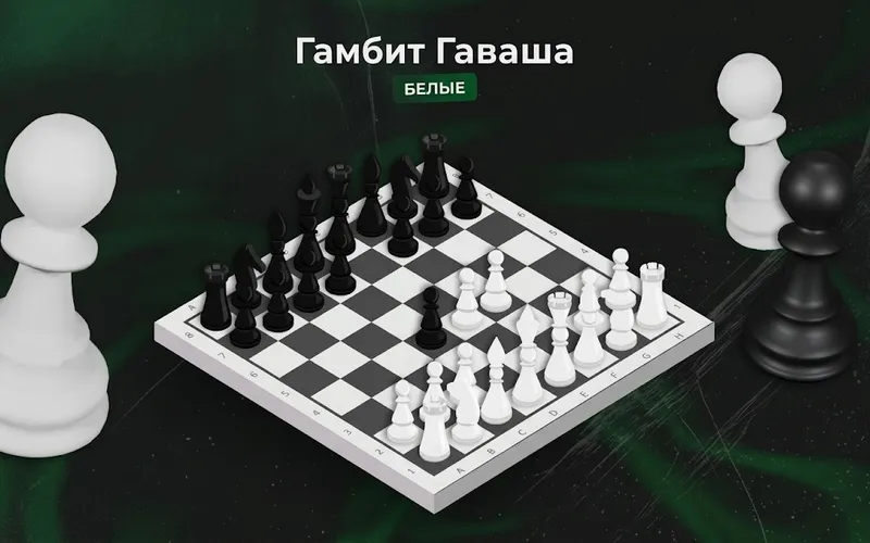 Сокруши Соперника с редким дебютом Гамбитом Гаваша.