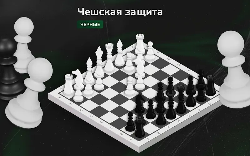Чешская Защита