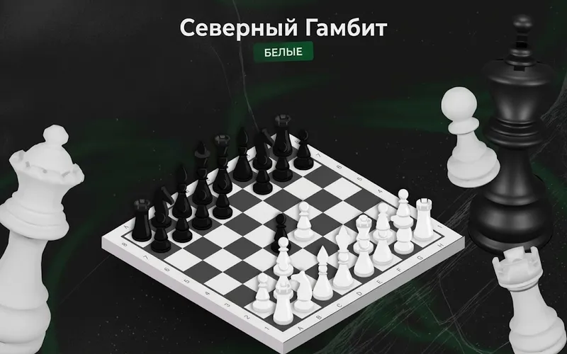 Северный Гамбит